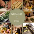 Kurse & Workshop
