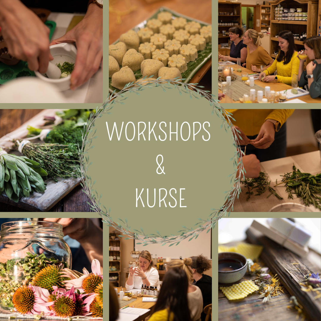 Kurse & Workshop